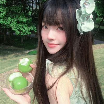 羊与钢之森